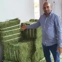 أبو راشد