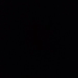 صالح