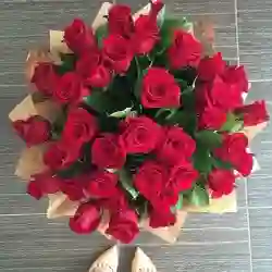 ريتال