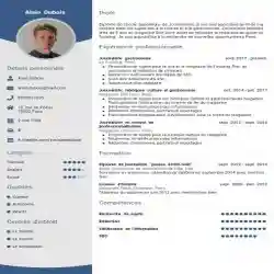 CV professionnel