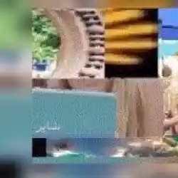 قروب واتسااااب