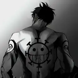 YONKO LAW