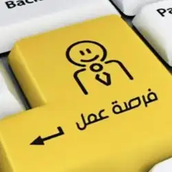 رواد التنمية المالية