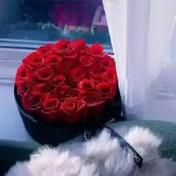 محمد