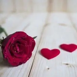محمد العنزي