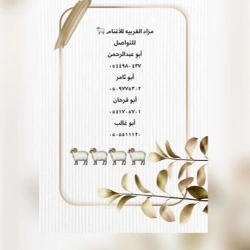 عبد العزيز 
