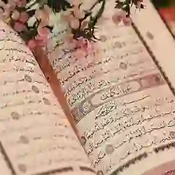 محمد عادل بن حمد الناصر