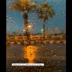 مشبب