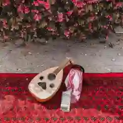 قروب جوازنه فقط 