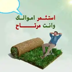 فريق النمو والثراء