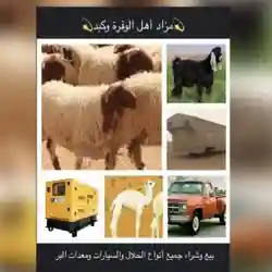 أبو احمد
