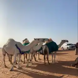 فيصل. الحربي 