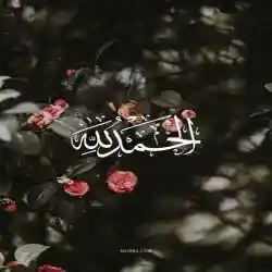 عمر الخالدي