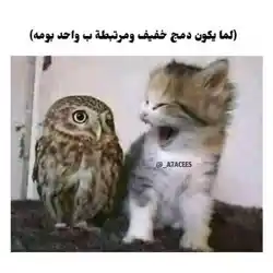شباب وبنات العراق