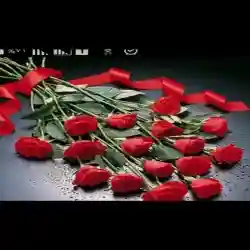 الربح من الانترنت 