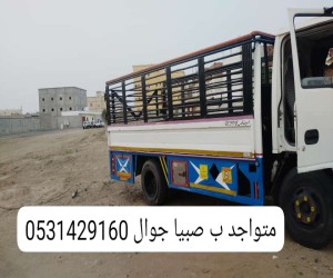 محمد النهدي نقل