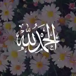 زياد 