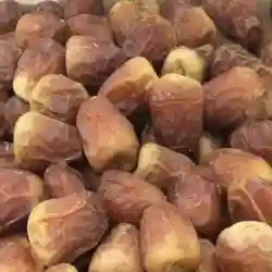 تمور المملكة بيع وشراء