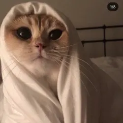 دحمي