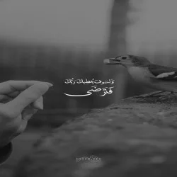Yousif Bassam