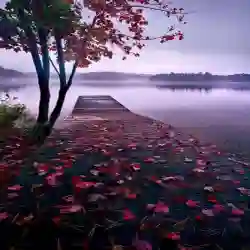 نشــ,ٰـر قــ,ٰـروبــ,ٰـات