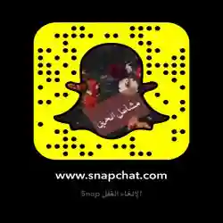 كل مايخص المدينه وظايف الخ