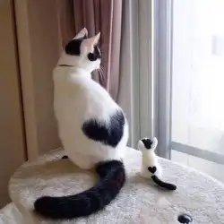 قروب بوستات 