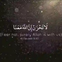 سيد 
