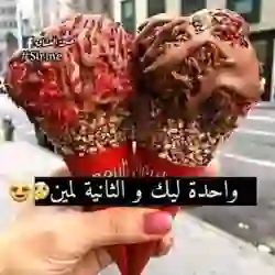 للجنون عنوان 