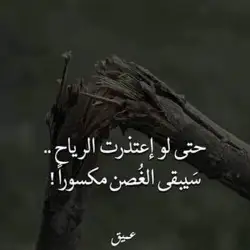 سوالف 