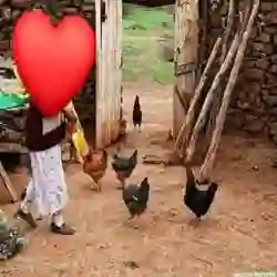 كريم 