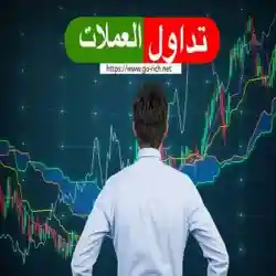 جهاد احمد زكى خليل