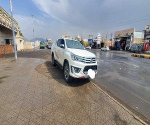 الطائر اليماني لنقل البري 