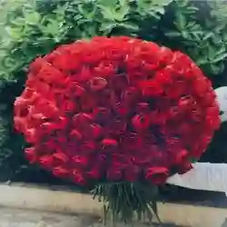 محمد 
