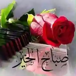 غريب الدار