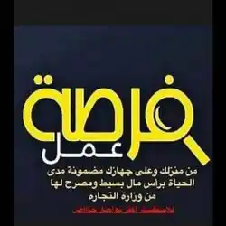 عمار القادري 