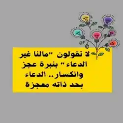 محمد امين 