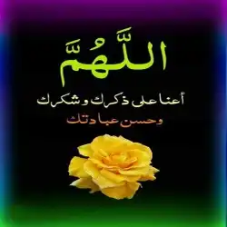 نبيل فوزي