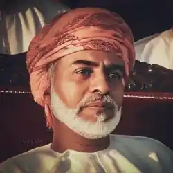نبض الوطن 