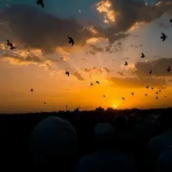 اقتباس