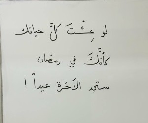 محمود عبد الرحمن 