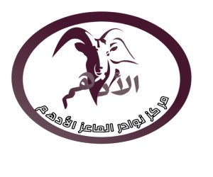 شايع القحطاني 