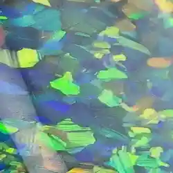 OPAL