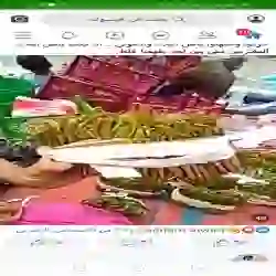 بلال الحداد 