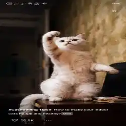 توانسة ❤️