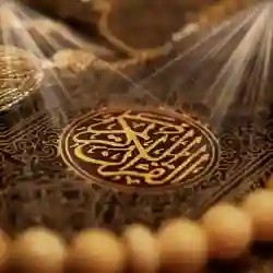 Rayan almalki