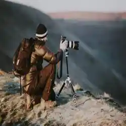 توالف ودردشه