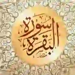 Rayan almalki