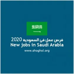 المهندس هادي 