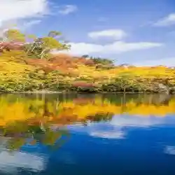 قروب حراج 